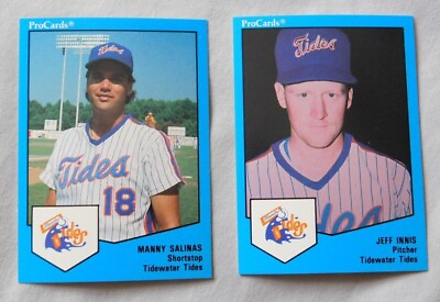 #ad 1989 Tidewater Tides ProCards Baseball Card Pick one $1.00