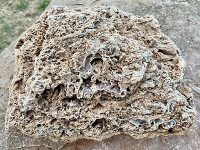 #ad TABULAR* 12.4 LB Fossil Coral Specimen With Beautiful Pink Hued Druzy Crystals $35.00