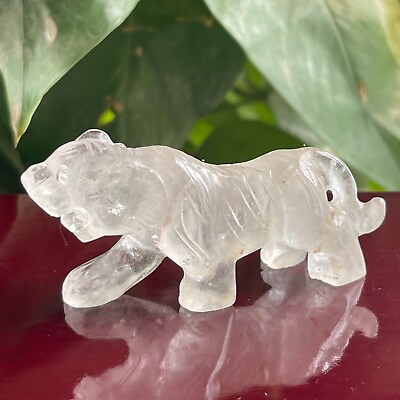 #ad 3quot; TOP Natural clear Quartz hand Carved Crystal tiger gem reiki Healing 1pc $20.00