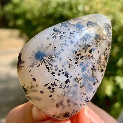 #ad 85G Beautiful natural agate tree snow crystal polished specimens Museum level $41.80