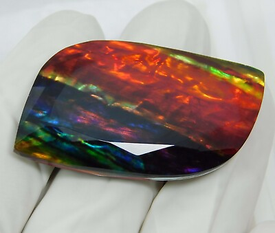 #ad 64.15 Ct Natural Ammolite Opal Like Organic Doublet Fancy Cut Certified Gemstone $21.39