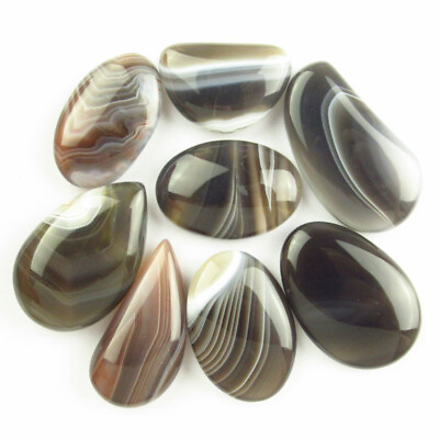 #ad 8Pcs Natural Botswana Agate Different Shapes No Hole B39612 $22.61