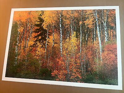 #ad Wenatchee National Forest WA. Beautiful Fall Colors Art Print 22” X 32” R Hodges $23.96