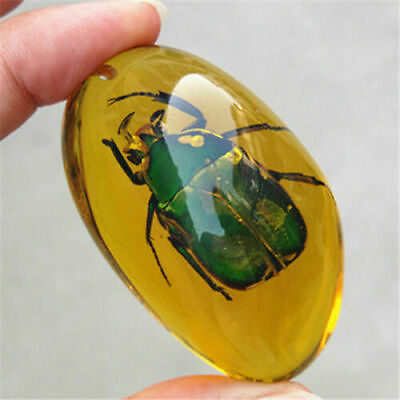 #ad Beautiful Amber beetle Fossil Insects Manual Polishing $7.99