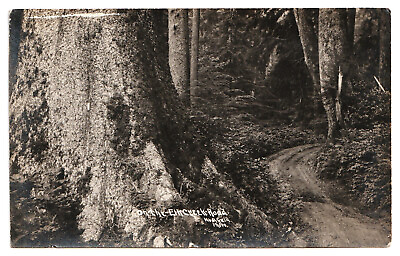 #ad Oregon ELK CREEK ROAD Seaside To Cannon Beach 1910 Woodfield Photo RPPC Postcard $24.95