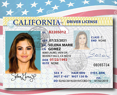 #ad Selena Gomez Super Star Collectable 2024 $4.99
