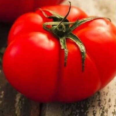 #ad Beefsteak Tomato Seeds NON GMO Heirloom Fresh Vegetable Seeds $20.00