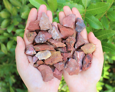 #ad Red Jasper Rough Natural Chips 0.5 1.25quot; Wholesale Lots Raw Red Jasper Chips $7.50
