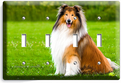 #ad GORGEOUS ROUGH COLLIE DOG 4GANG LIGHT SWITCH WALL PLATE GROOMING PET SALON DECOR $27.99