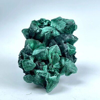#ad Malachite Crystal Natural Reiki Healing Gemstones Chakra Stone Mineral 1pcs $13.99