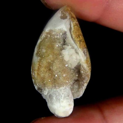 #ad 41.35Cts .100%Natural Designer Fossil Snail Druzy Agate Fancy 17x34x15mm Gems $10.12