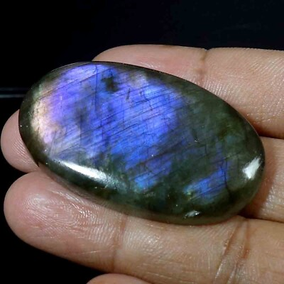 #ad 110.80Ct Brilliant Stone Purple Fire Spectrolite Labradorite Cabochon Loose Gems $39.98