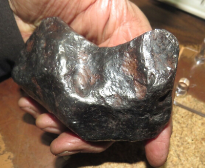 #ad 1288 gm toluca Meteorite Mexico Complete Individual 2.8 lbs iron nickel AAA gd $1619.95