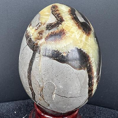 #ad Natural Dragon Septarian Geode Egg Quartz Crystal Rock Reiki Healing 1146G $80.99