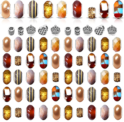 #ad 50Pcs Assorted Brown Resin Imitation Glass European Large Hole Beads Metal Spac $7.99