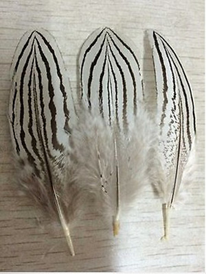 #ad Wholesale 10 500PCS beautiful Silver Chicken tail feathers 10 15cm 4 6inches $87.98