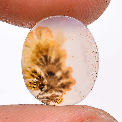 #ad 02.00 Cts. Natural Splendid Scenic Dendritic Agate Oval 12X10X1 MM Cab Gemstone $14.99