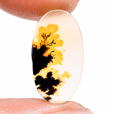 #ad 03.00 Cts. Natural Exclusive Scenic Dendritic Agate Oval 16X9X2 MM Cab Gemstone $14.99