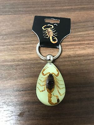 #ad Real Insect Scorpion Keychain Model Brand New Collectibles $15.87
