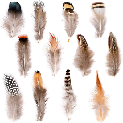 #ad 240Pcs 12 Styled Natural Feathers Assorted Mixed Feathers for Jewelry and Dream $17.94