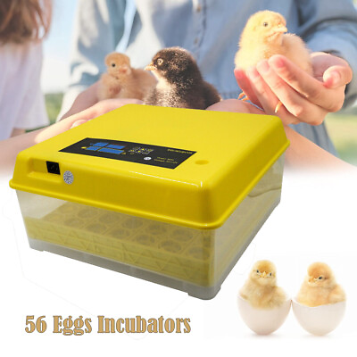 #ad 56 Digital Egg Incubator Bird Hatcher Automatic Egg Turning Temperature Control $54.98
