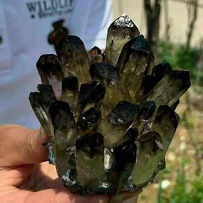 #ad 310g Natural Aura Smoky Quartz Cluster Mineral Specimen Tea Crystal Reiki Decor $45.00