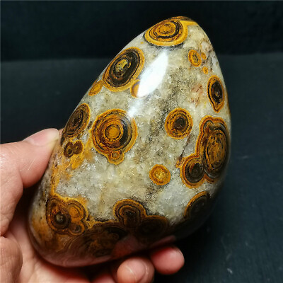#ad RARE 509G Natural Inner Mongolia Gobi Eye Agate Stone Collection WD1282 $359.99