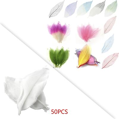 #ad 50Pcs Magnolia Skeleton Leaves Candle Making Scrapbooking Card Dried Leaves $5.83
