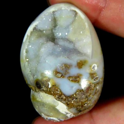 #ad 167.70Cts .100%Natural Designer Fossil Snail Druzy Agate Fancy 29x42x20mm Gems $25.30