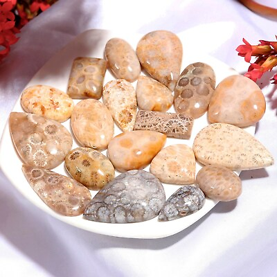 #ad Natural Fossil Coral Mix Wholesale Loose gemstone $84.35