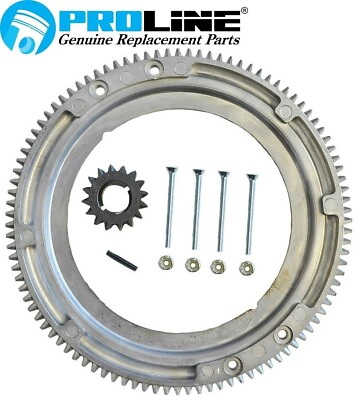 #ad Proline® Flywheel Ring Gear For Briggs amp; Stratton 399676 392134 696537 $17.95
