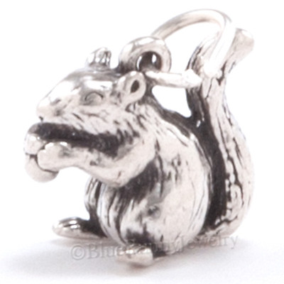 #ad SQUIRREL w ACORN Autumn Jewelry Pendant Charm Solid Sterling Silver .925 3D 925 $19.99