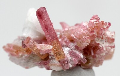 #ad PINK TOURMALINE RUBELLITE Terminated Crystal Cluster Mineral Specimen RUSSIA $239.99