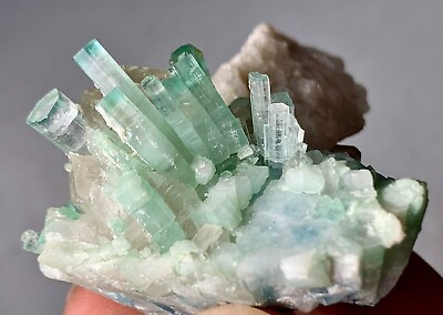 #ad 235 Cts Beautiful Top Quality Terminated Tourmaline Crystals bunch Quart @Afghan $249.99