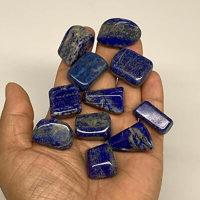 #ad 118.6g0.8quot; 1.1quot; 11pcs Natural Lapis Lazuli Tumbled Stone @Afghanistan B30271 $10.80