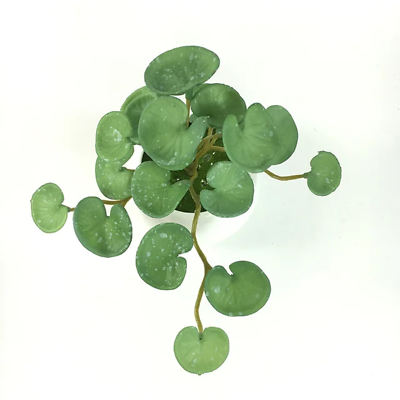 #ad Simulation Green Plant Copper Coin Grass Artificial Flower Fake Ivy Leaves Green $10.85