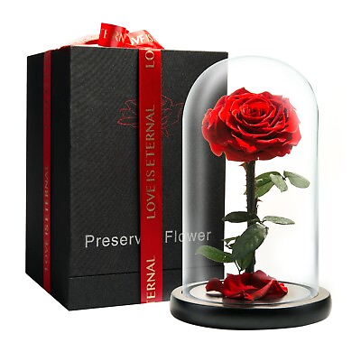 #ad Preserved Rose in Glass Dome Eternal Enchanted Forever Infinity Rose $49.99