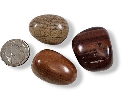 #ad Jasper Print Polished Stones 35.5 grams 3 Piece Lot $3.99