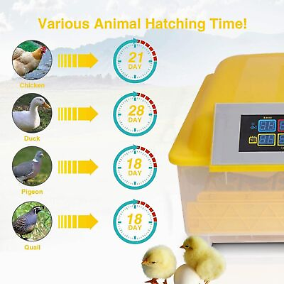 #ad 48 Eggs Incubator Digital Poultry Hatcher Machines with Automatic Egg Turning US $74.99