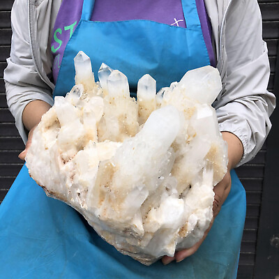 #ad 24.64lb Natural Clear Quartz Cluster Crystal Mineral Specimen Energy Reiki Decor $480.00