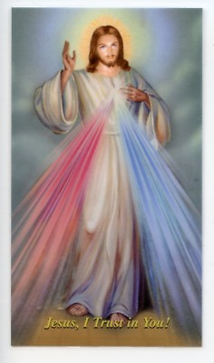 #ad CHAPLET OF THE DIVINE MERCY Laminated Holy Cards. QUANTITY 25 CARDS $19.99