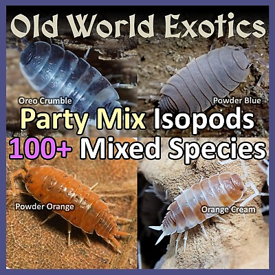 #ad *FREE SHIPPING* 100 Premium Party Mix Isopods 4 Types Of Isopods BIG BUNDLE $29.95