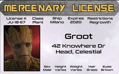 #ad Gurdians Of The Galaxy Groot Novelty ID Made On Metal Aluminum $6.50