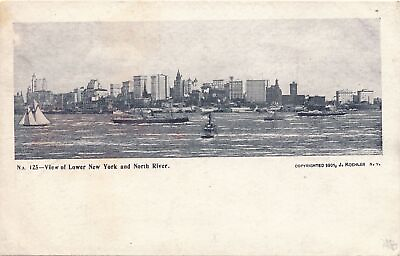 #ad NEW YORK CITY Lower New York and North River Now Called Hudson River udb $7.87