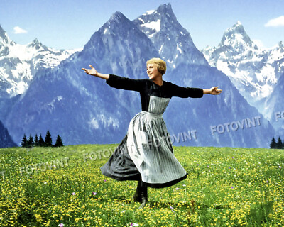 #ad The SOUND OF MUSIC Photo Picture JULIE ANDREWS Maria 8x10 11x14 or 11x17 SM2 $4.95