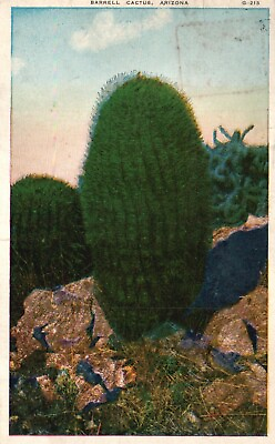#ad Postcard AZ Barrell Cactus Arizona Antique Vintage PC a5583 $3.00