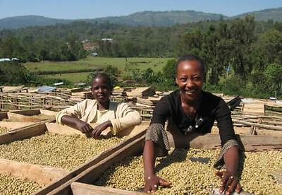 #ad ETHIOPIAN YIRGACHEFFE COFFEE BEANS MEDIUM ROASTED 5 POUNDS $54.95