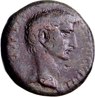 #ad AMONG THE FINEST OFFERED Tiberius Æ 30mm of Berytus Phoenicia. AD14 Roman Coin $267.26