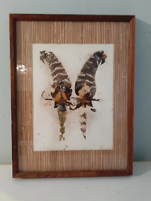 #ad Vintage 70s African Made Butterfly Wing Art Parrots 13quot;x18quot; Frame $34.88