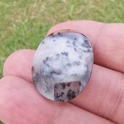 #ad 100% Natural Two Side Polished Dendritic Agate High Quality Oval Cabochon $25.00